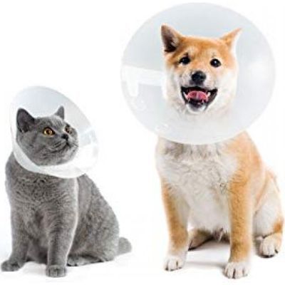 Marben Pets- Collar Isabelino De 20 Cm