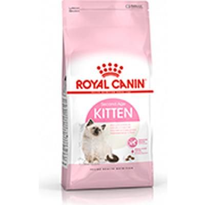 Royal Canin Gato Kitten Second Age 4 kg