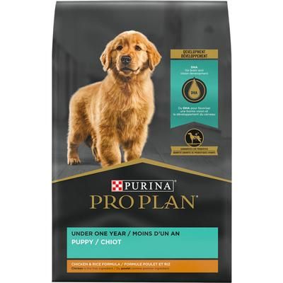 Pro Plan Focus Puppy Chicken Rice 6lbs