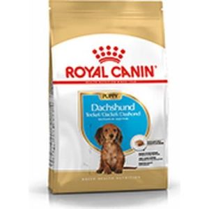 Alimento Seco Para Perro Royal Canin Perros Dachshund Junior 1.5Kg 1 Unidad 2575