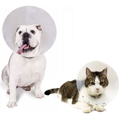 Marben Pets- Collar Isabelino De 12,5 Diametro